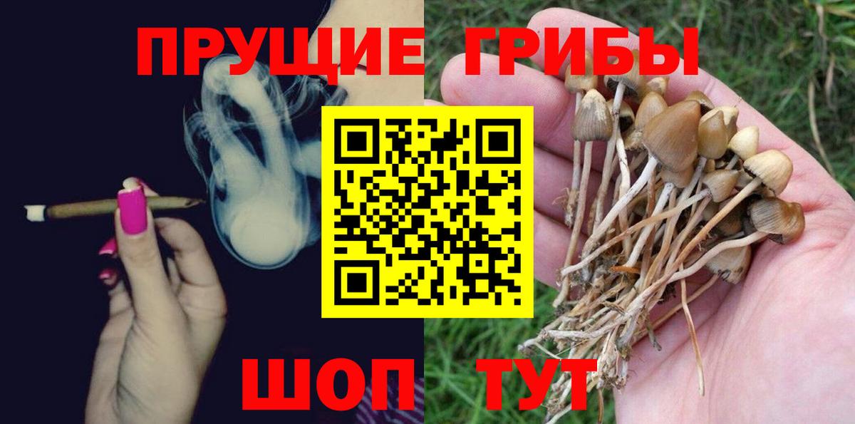 Валуйки  Галлюциногенные грибы Magic Shrooms  Вход с VPN 